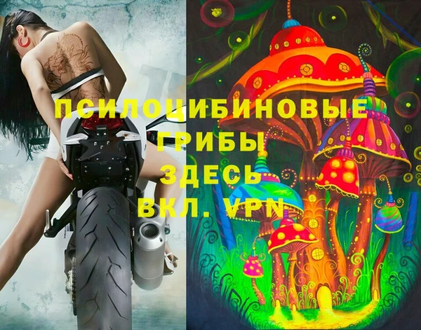 мет Карпинск
