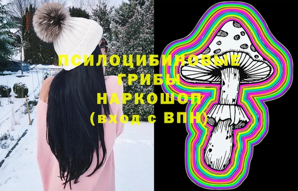 мет Карпинск