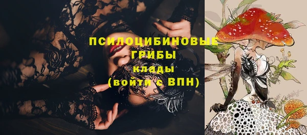 мет Карпинск