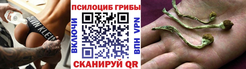 Купить закладки  Духовщина  Галлюциногенные грибы Magic Shrooms 